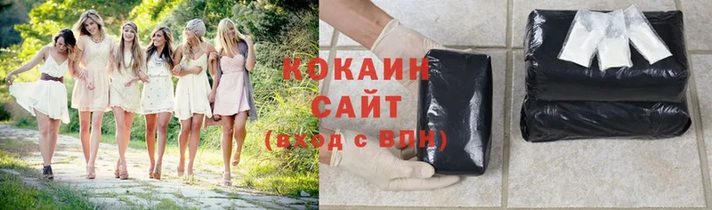 дарнет шоп  Киреевск  Cocaine Эквадор 